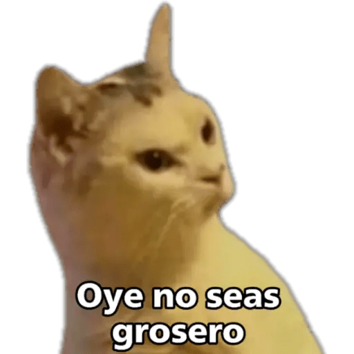 Memes Random ⭐ 8