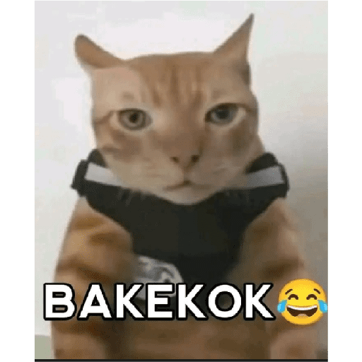 Supri goblok 1