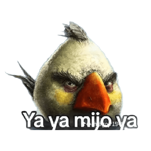 Yayamijoya 2
