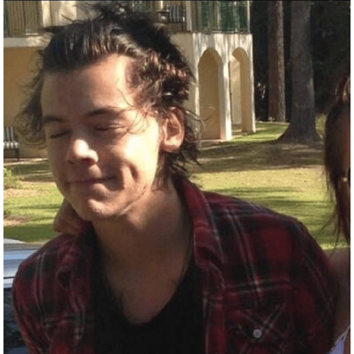 Harry Styles ranita 🐸 7
