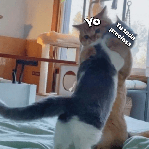 Gatos enojados 25
