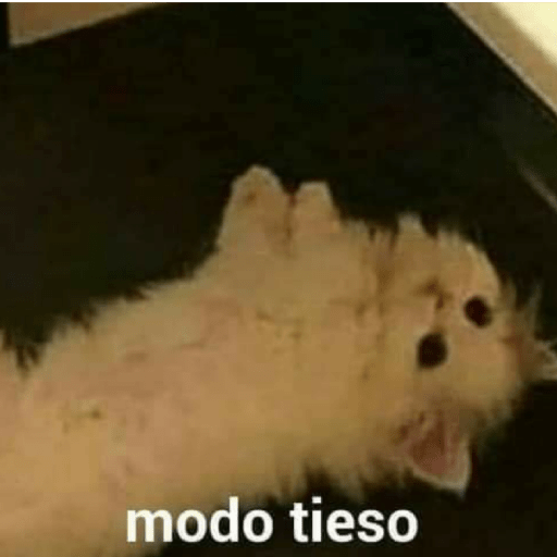 Gatos enojados 5