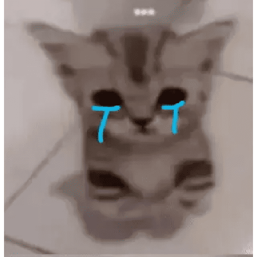 GATOS RANDOM - PARTE 17 21