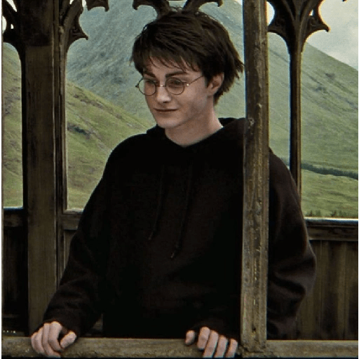 Harry Potter  13