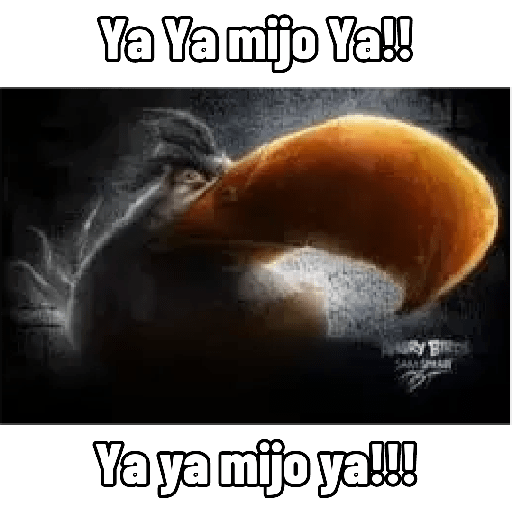 Yayamijoya 4