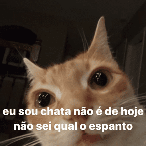memes<3 27