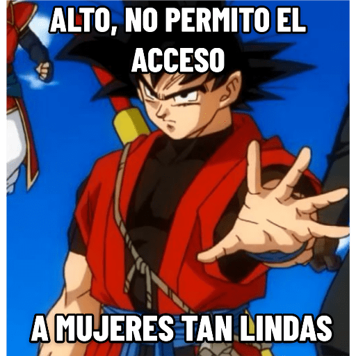 Dragon ball 11