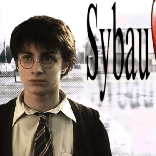 Harry Potter  15