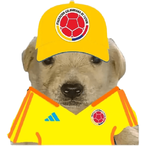 Perritos copa América 6