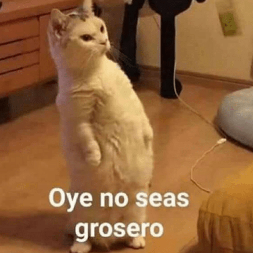 Gatos enojados 11