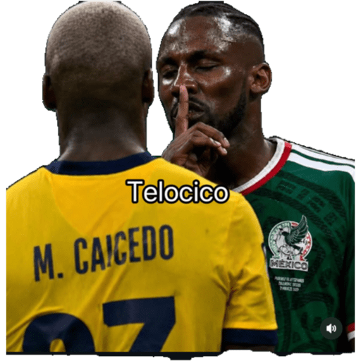 Papas Gatito 24