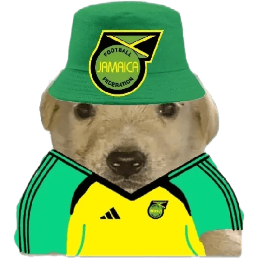 Perritos copa América 13