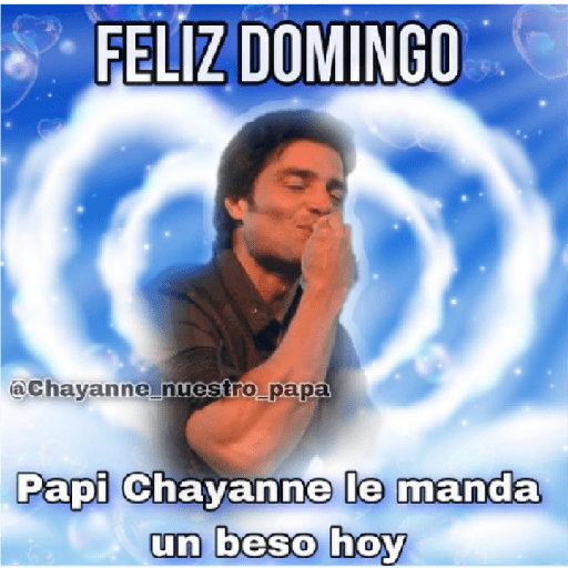 Papi Chayanne 4
