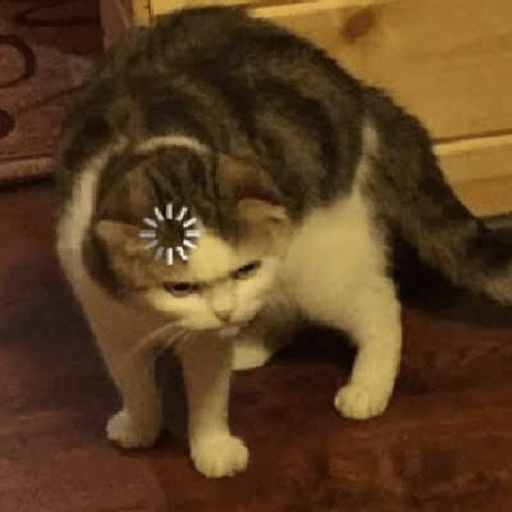 Gatos enojados 23