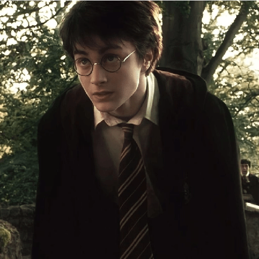 Harry Potter  12