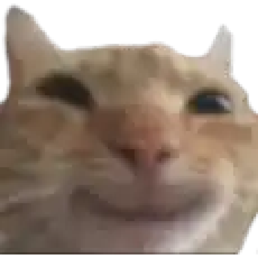 GATOS RANDOM - PARTE 17 20