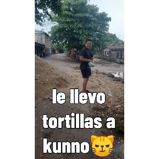 Armas evolutivas 19