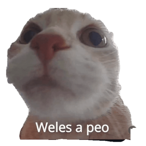 Papas Gatito 13