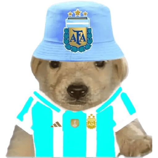 Perritos copa América 4