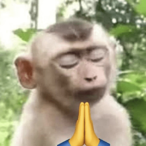 Macacos 😭🐒 6