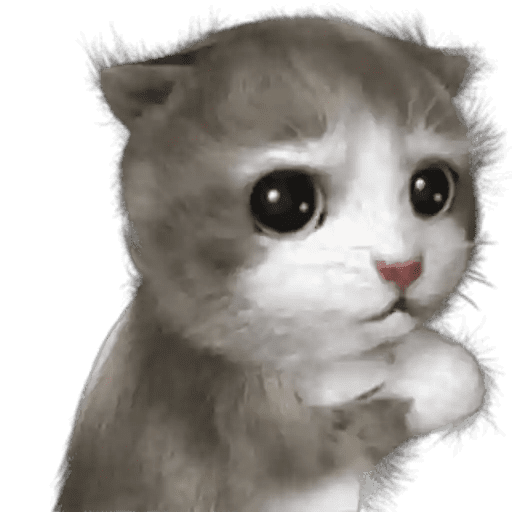 GATOS RANDOM - PARTE 17 17