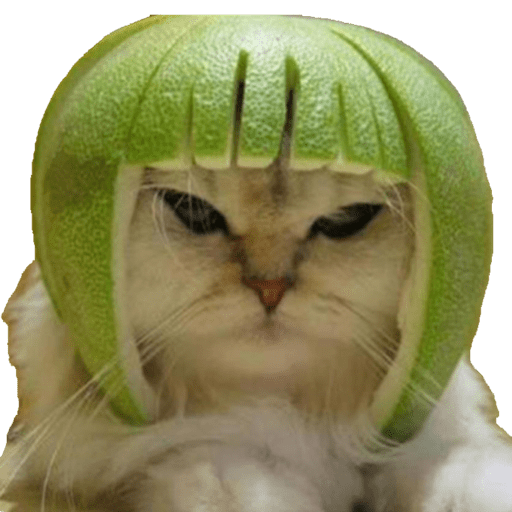 Papas Gatito 1