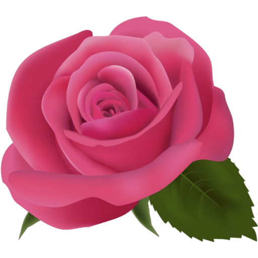 Flores 🌷 2