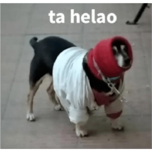 Tu pack  28