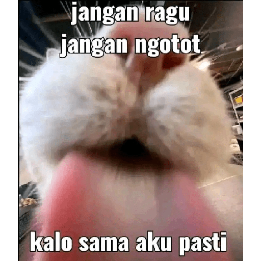 Random1 6