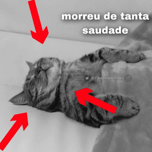 memes<3 21