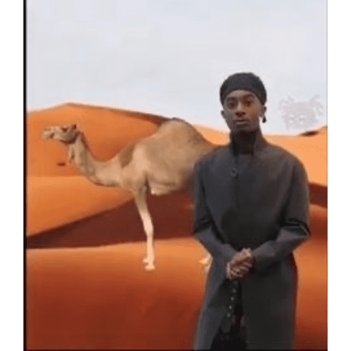 Playboi Carti  20