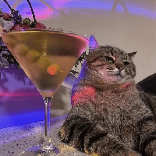 Cats 20