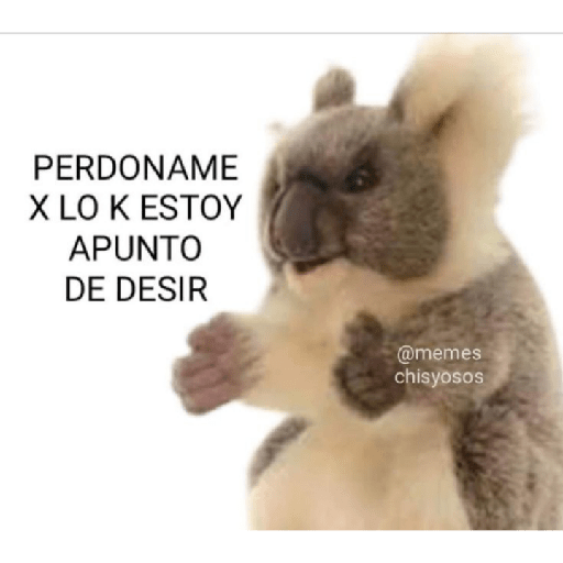 Ramdon 28