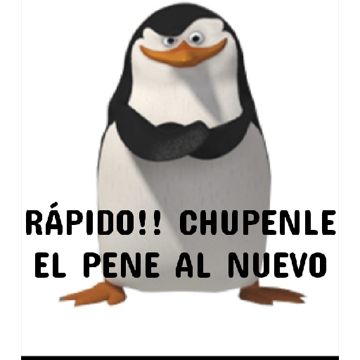 Memes para insultar 24