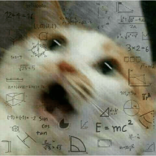 Gatos memes 9