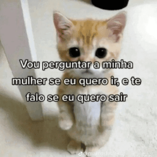 memes<3 24