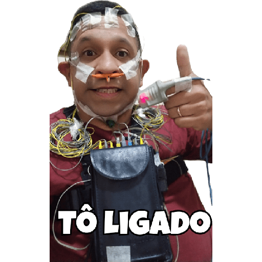 Família Feliz 6