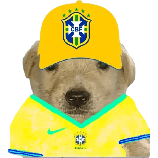 Perritos copa América 10