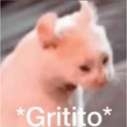 Gatos memes 6