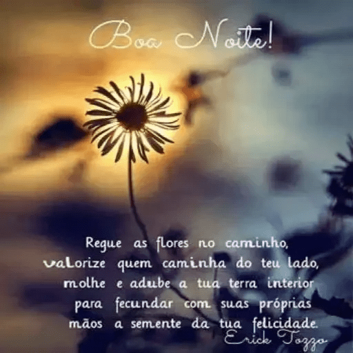 Boa noite 29 14