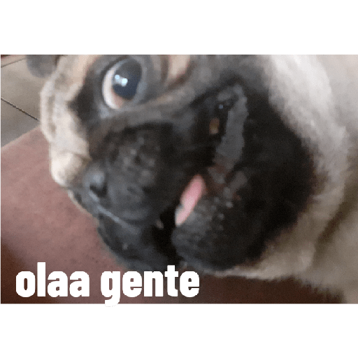 Ola 1