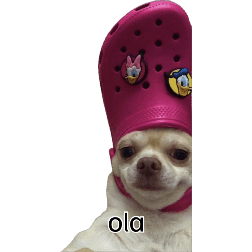 Shitpost Cuaad  24