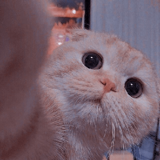 Soft gaze