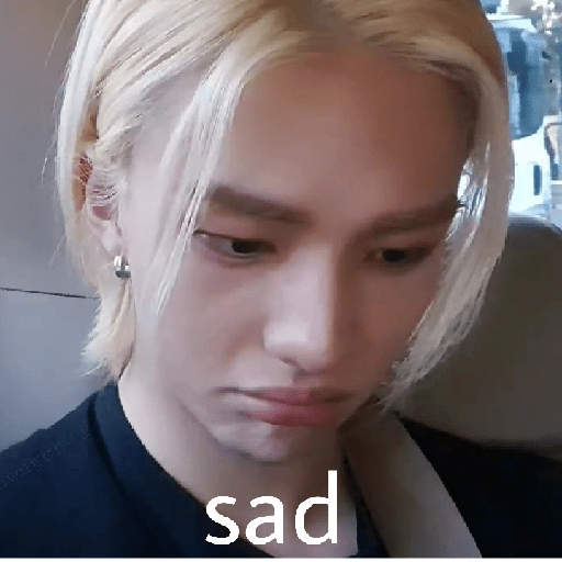 Straykids 30