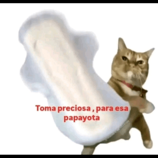Stikers jjajaj 10
