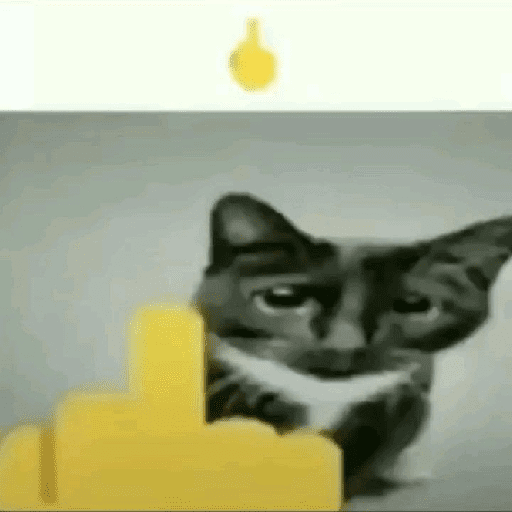 X videos 19