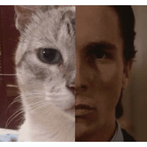 X videos 8