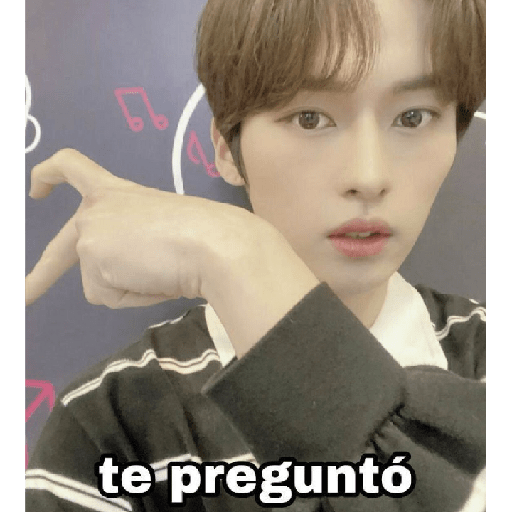 Straykids 29