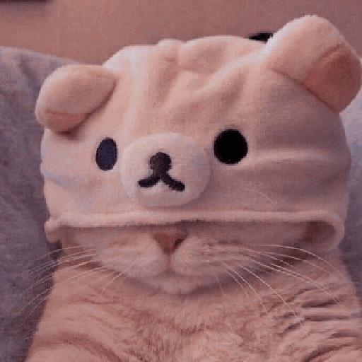 Hidden bear face