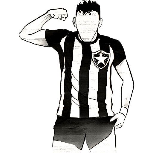 BOTAFOGO 3 6